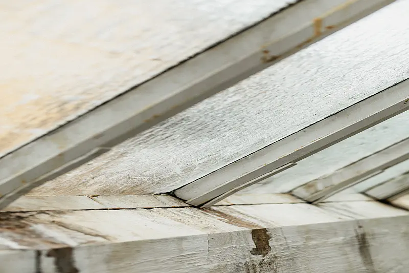 Feuchtigkeitsmessung Hannover